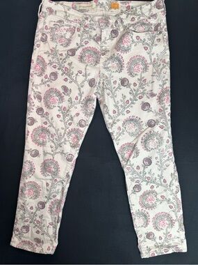 ANTHROPOLOGIE Pilcro & The Letterpress  Pants Floral Stet Ankle Crop Size 31